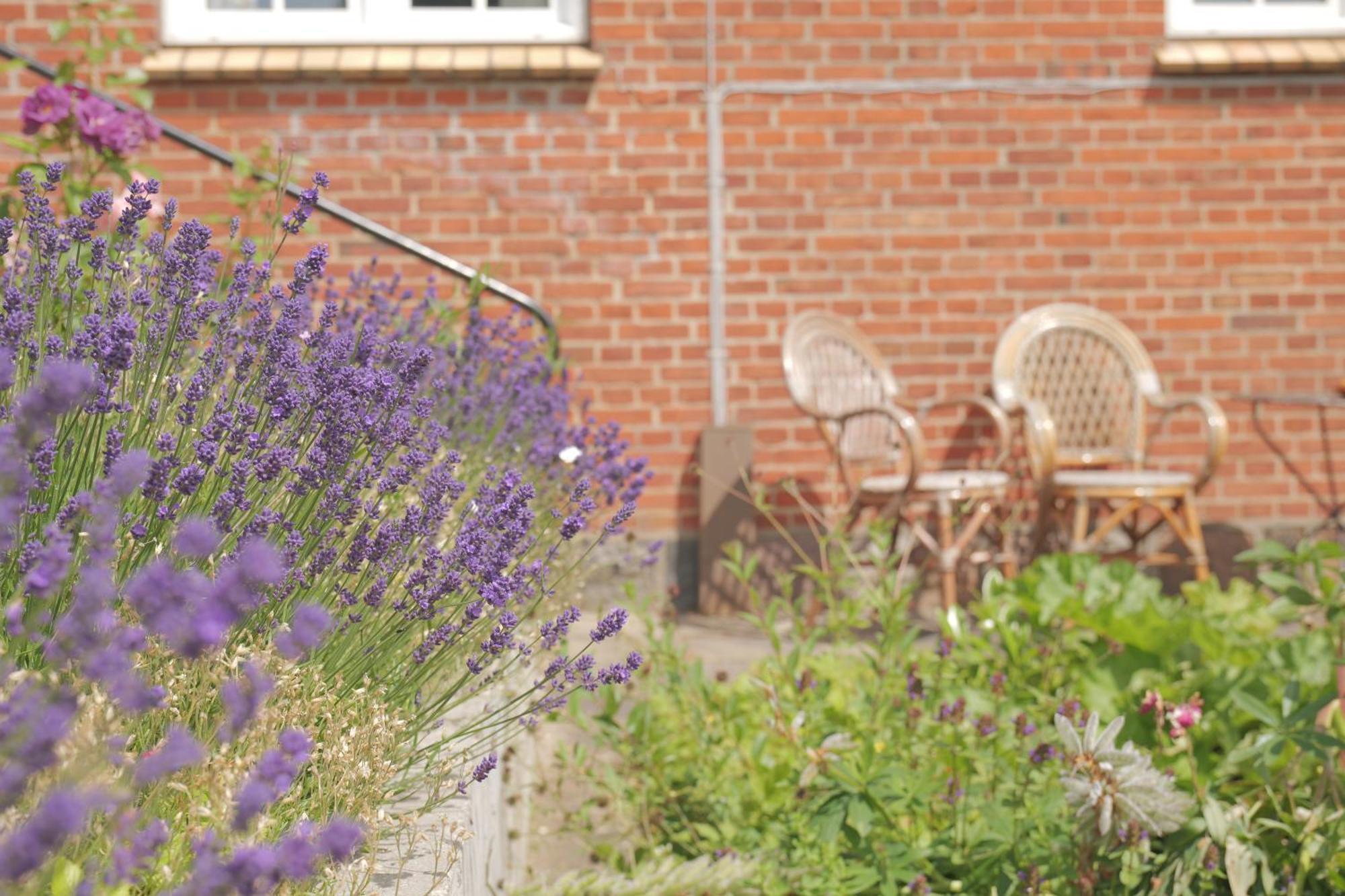 Huset I Hejls Bed & Breakfast Екстериор снимка